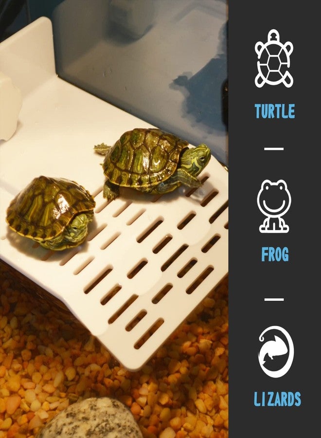 SHIGATSU Medium Turtle Resting Platform for Aquarium Fish Tank 2 in 1 Climbing Ladder Terrarium with Suction Cup for Small Pets Sun Bathing Resting Play - Image 2